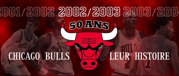 bulls03