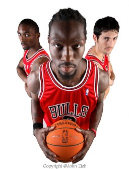 bulls